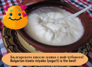 bulgarian kiselo mlyako