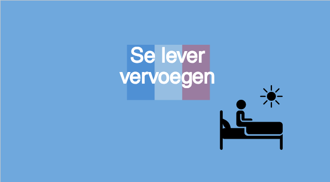 Vervoeging se lever