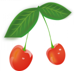 ciliege frutta