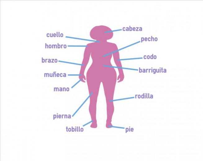 body in Spanish