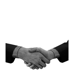 a handshake is the most common way to greet someone in the Netherlands.