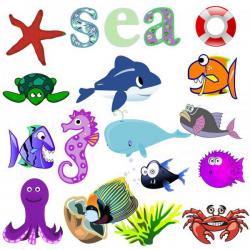 sea animals in dutch